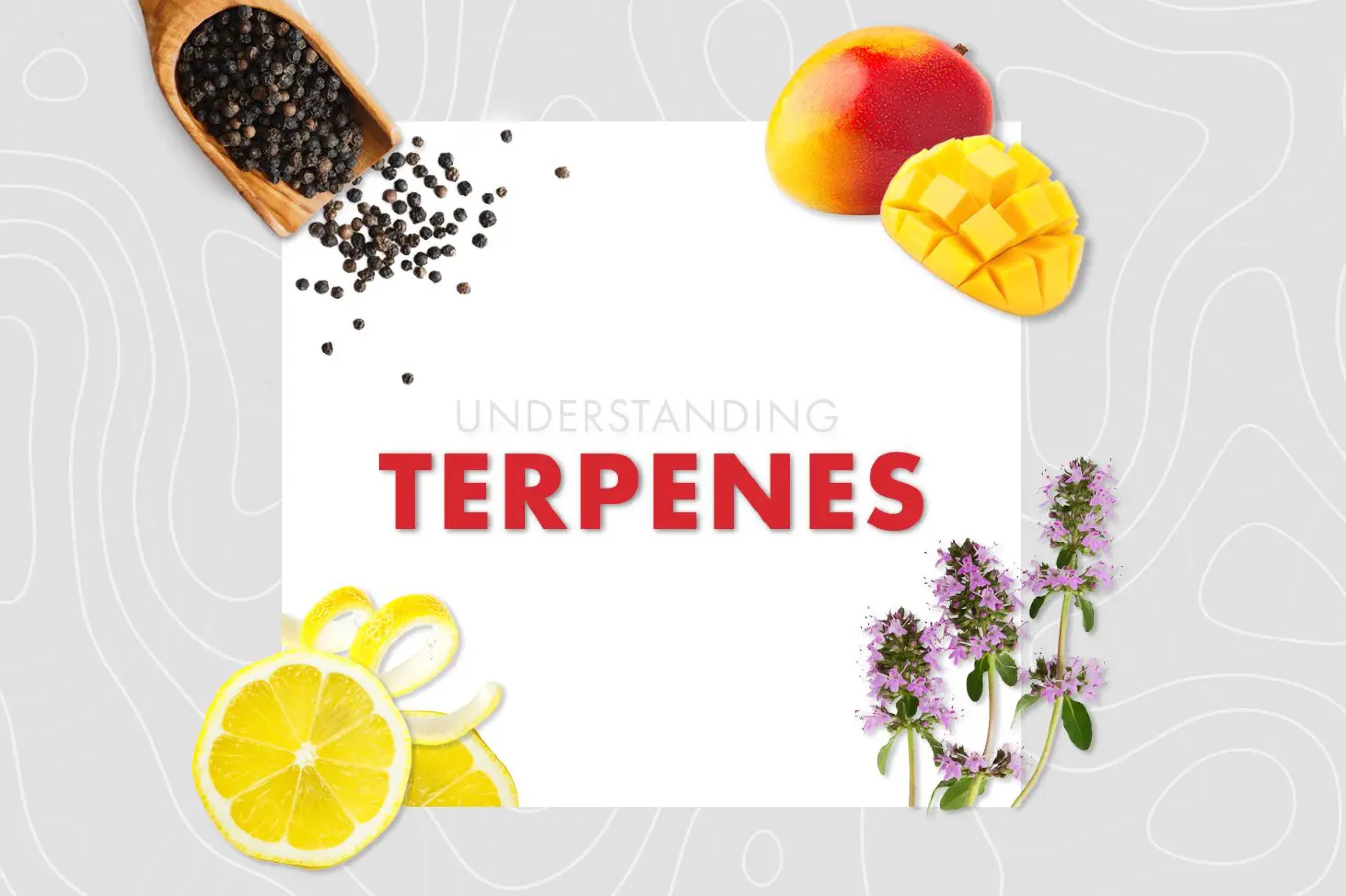 What are cannabis terpenes?
