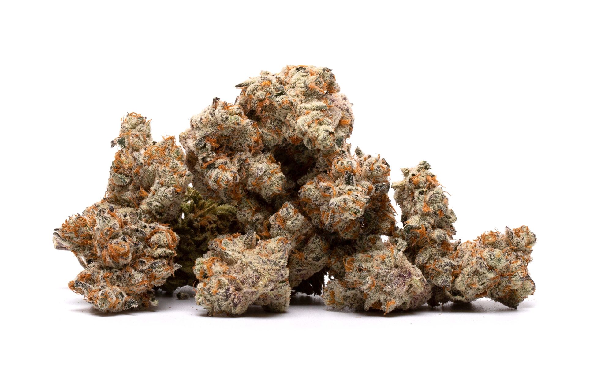 How to improve your cannabis brand’s online presence