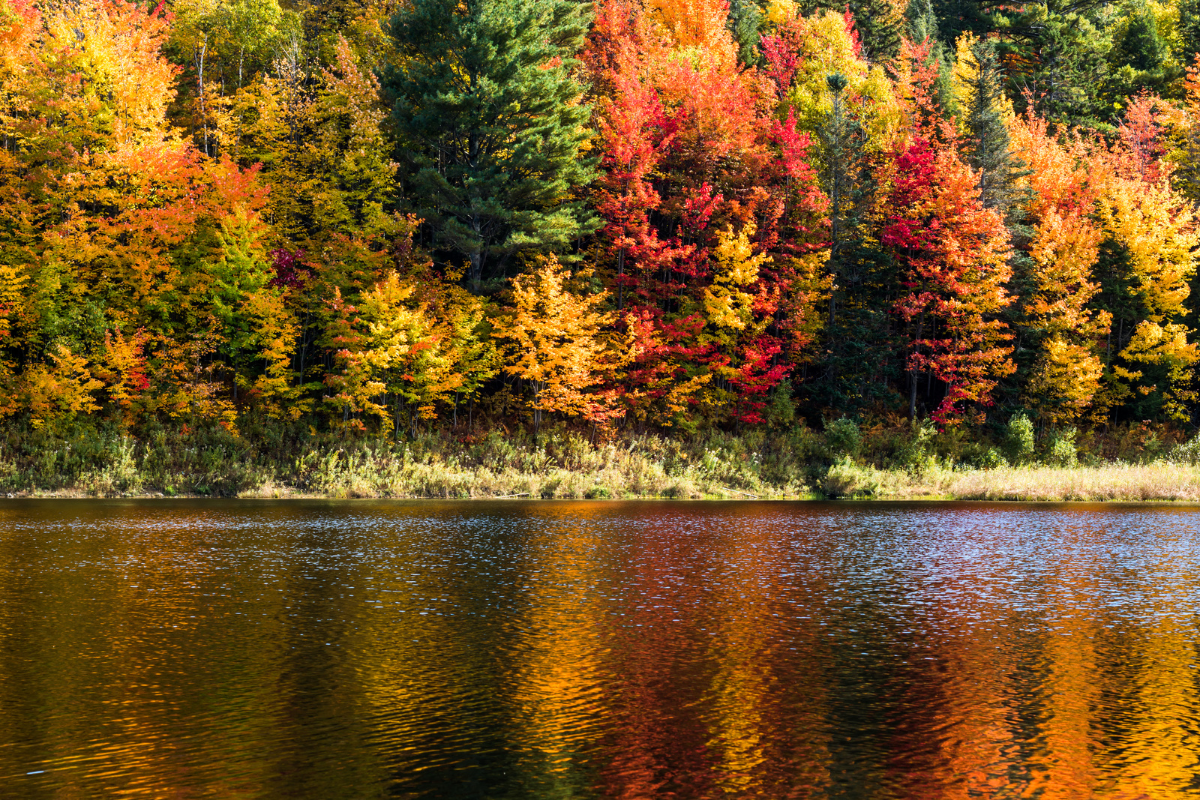 This Week in Cannabis News: September 16, 2022