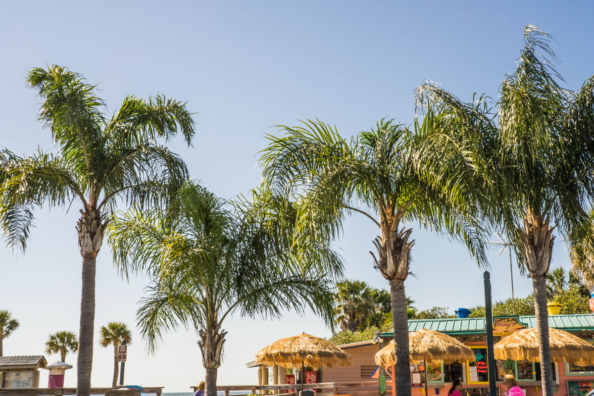 This Week in Cannabis News: August 12, 2022