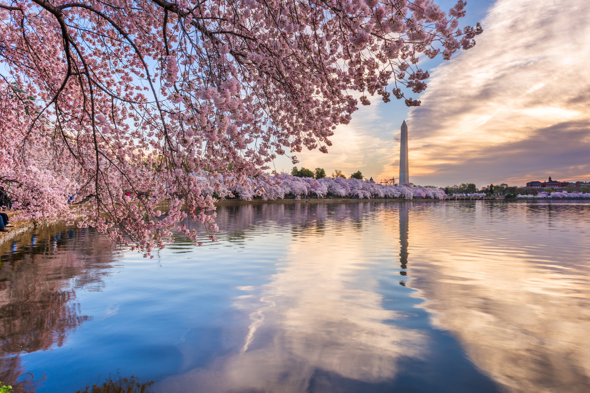 This Week in Cannabis News: July 22, 2022