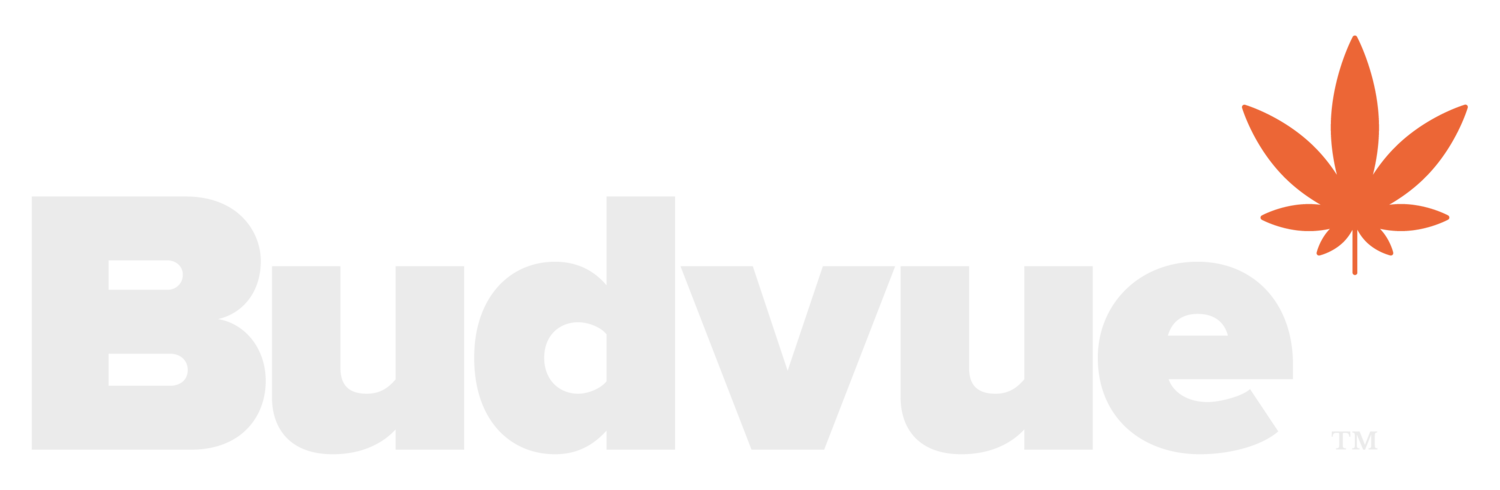 Budvue