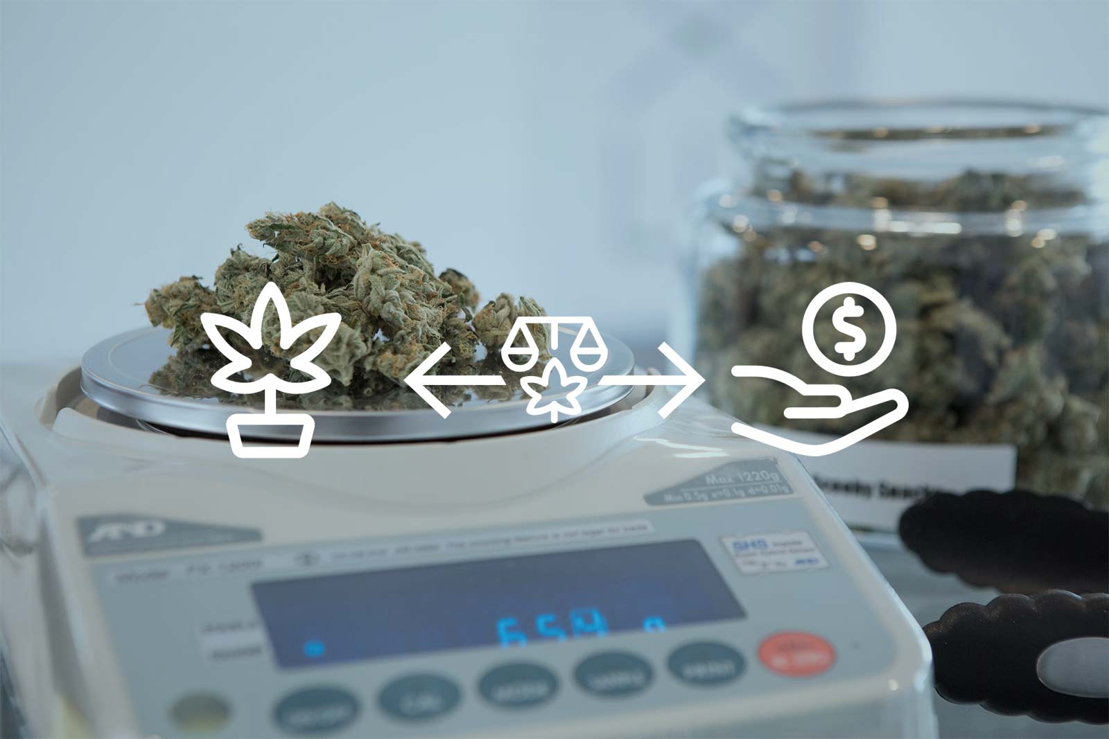 Track-and-trace and Point-of-Sale: What’s the differences and what it means for dispensary operations