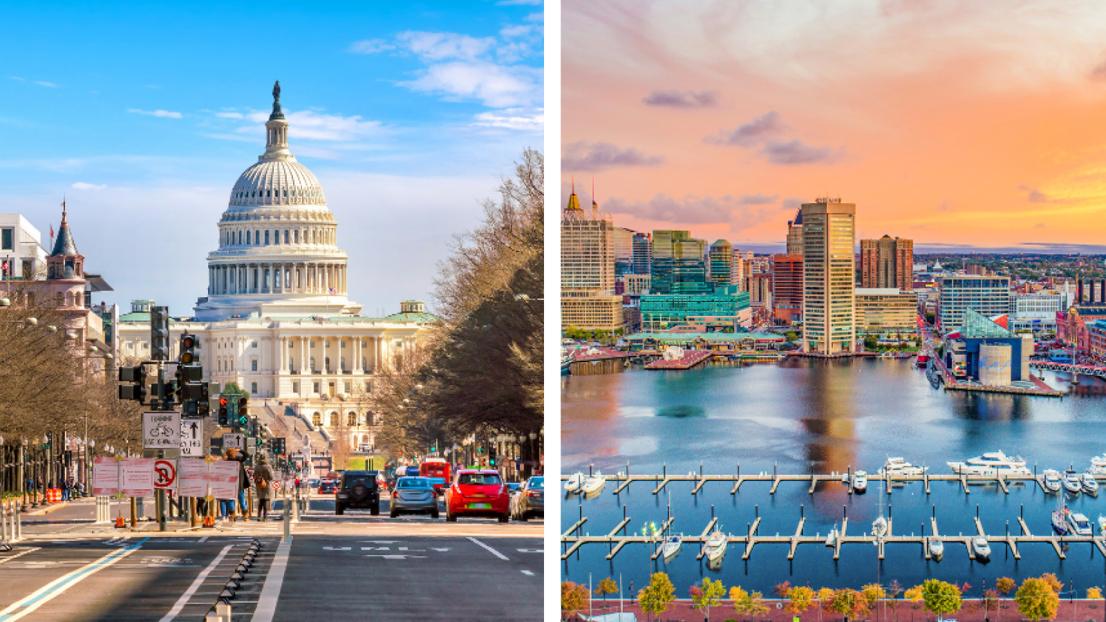 Webinar Recap: Navigating the Cannabis Landscape in D.C. and Maryland