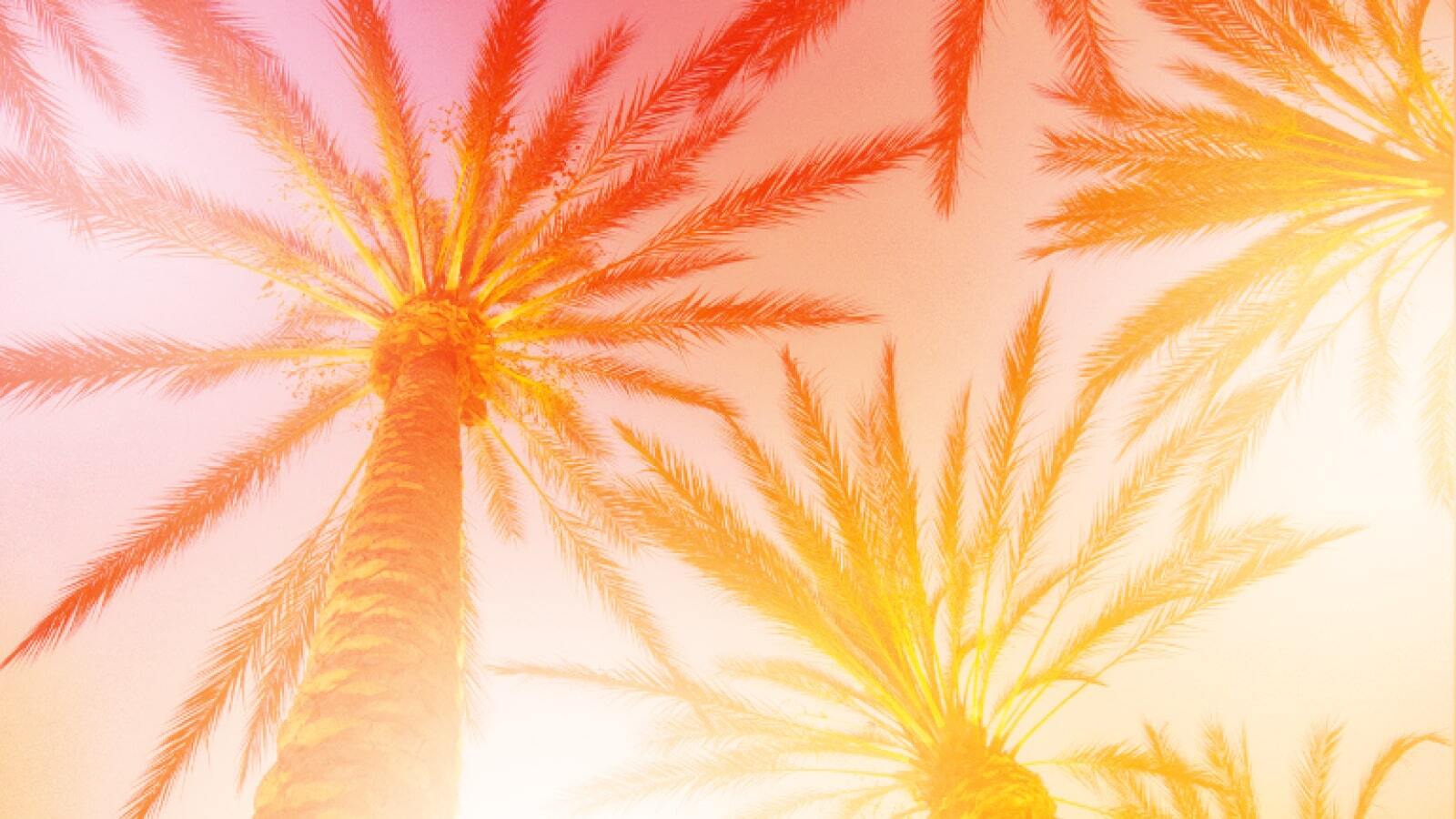 Dutchie and the CCIA Discuss Recalls and Reconciliation for CA Retailers
