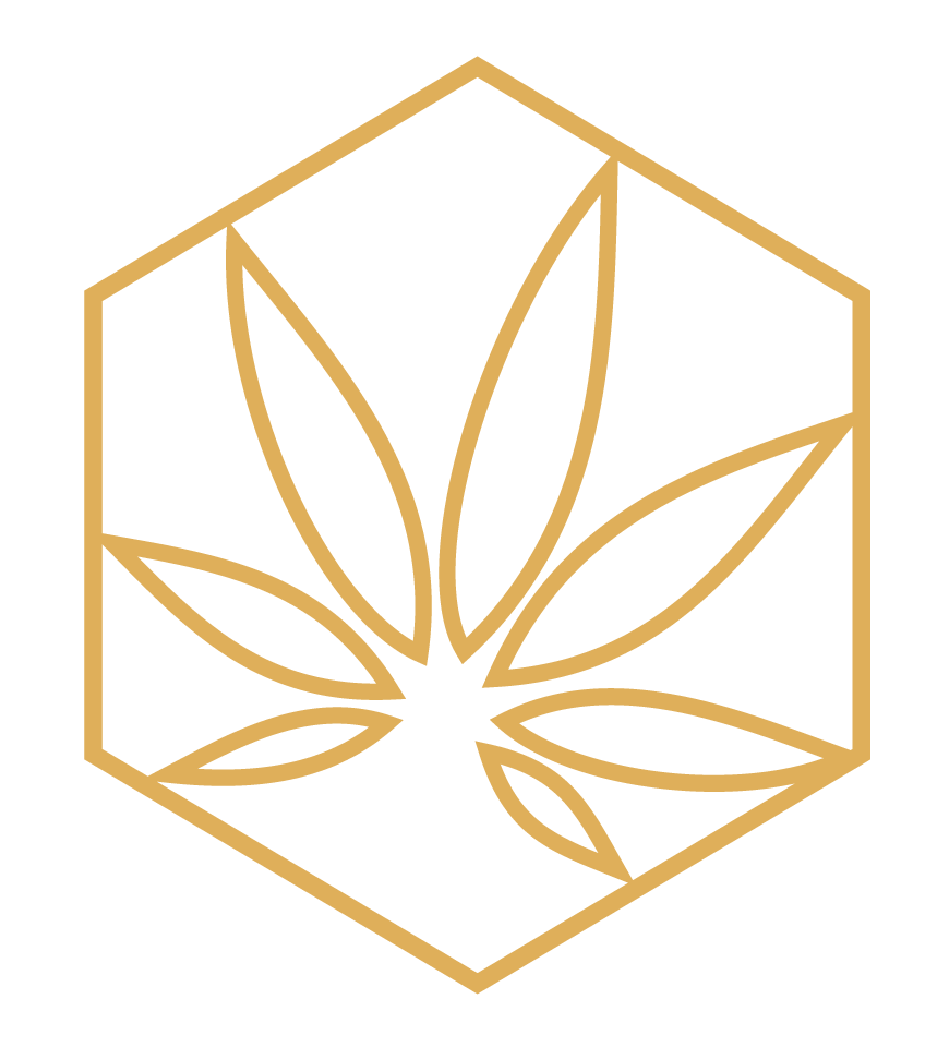Dutchie cannabis point of sale register icon