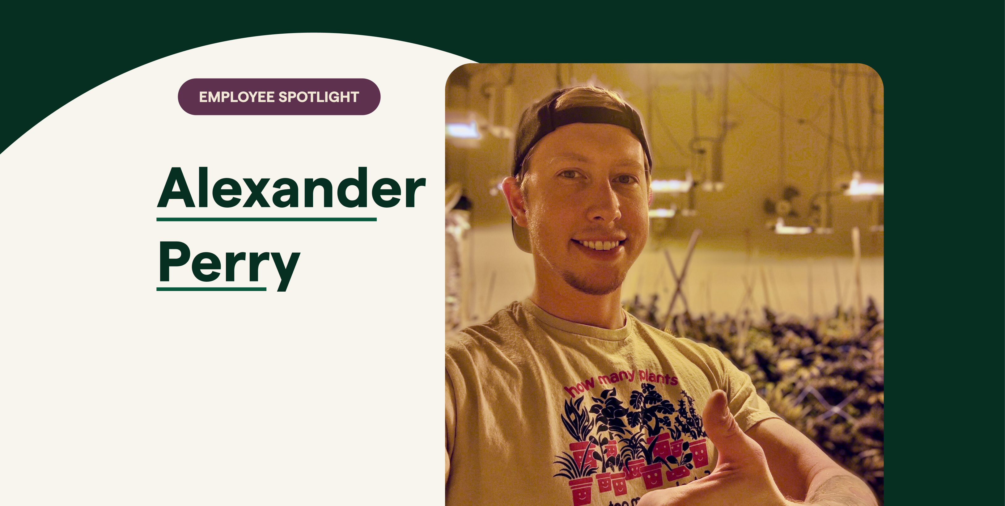 From Grow Room to Growth Strategy: Alexander Perry's Journey Through Cannabis